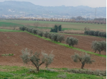 Casale panoramico vista mare con 4.000 mq di terreno