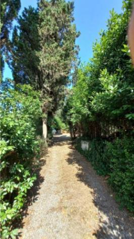 Immobile in asta di 491 m² con più di 5 locali in vendita a Cerreto Guidi - Foto 5