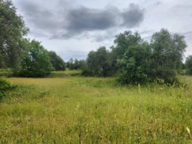 Immobile in asta di 23396 m² in vendita a Ficulle - Foto 2