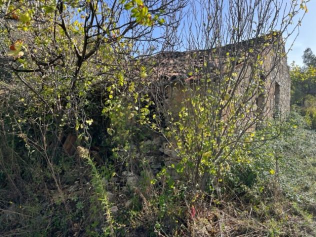 Giungano, Loc. Cerza Nera, terreno di circa 800 mq, con rudere vista mare di 130 - Foto 5