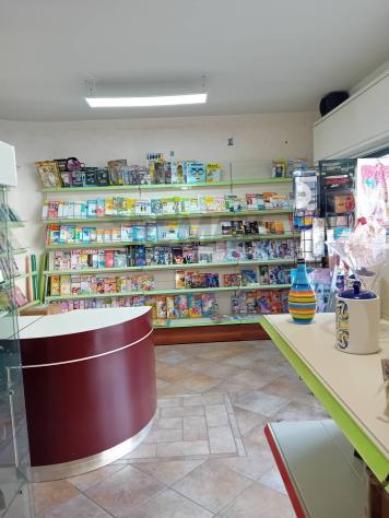 Appartamento in vendita a Castel di Iudica - Foto 2