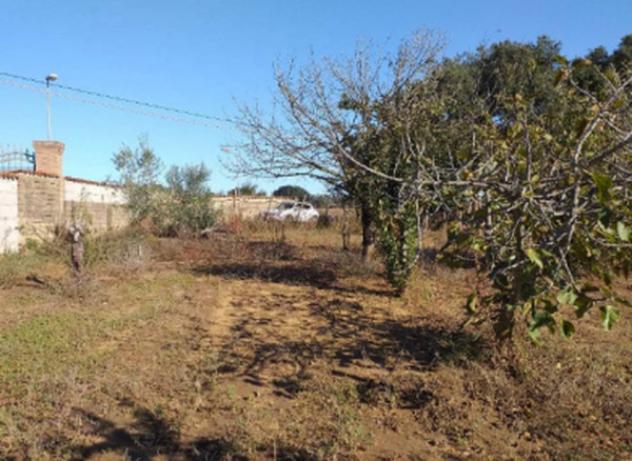 Immobile in asta di 1826 m² in vendita a Nettuno - Foto 2