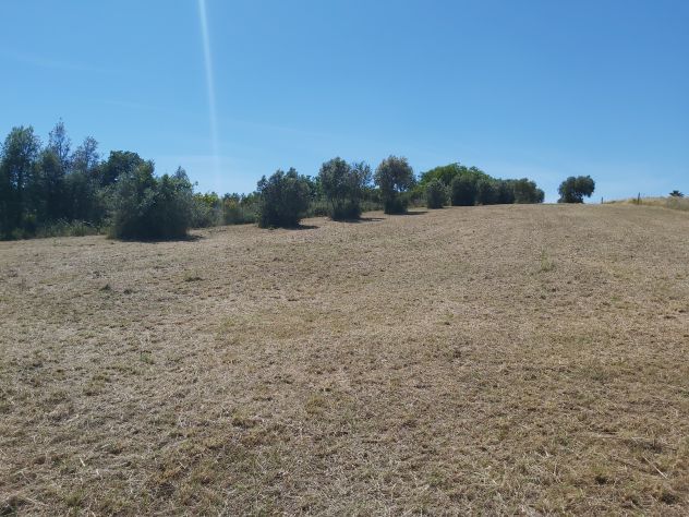 Terreno agricolo Velletri (RM) - Foto 3