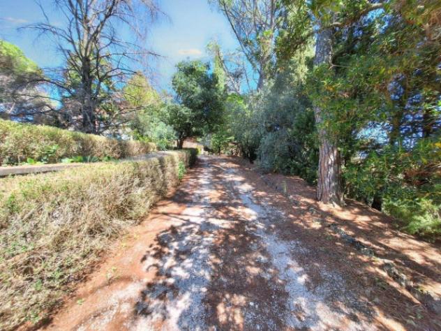Immobile in asta di 583 m² con più di 5 locali in vendita a Monte Castello di Vibio - Foto 8