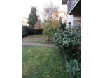 Villa in vendita a Arena Metato - San Giuliano Terme 340 mq  Rif: 1398561
