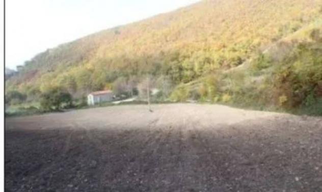 Immobile in asta di 65380 m² in vendita a Nocera Umbra - Foto 6