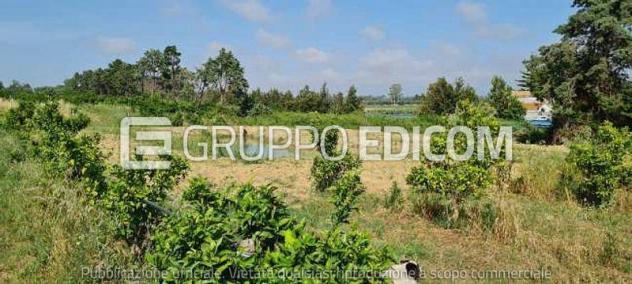 Fabbricati per attività agricole di 122 mq in vendita a Pisticci - Rif. 4541687 - Foto 2
