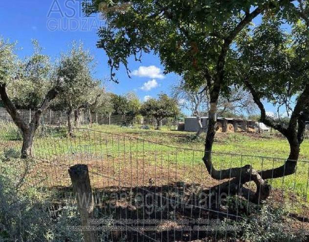 IMMOBILI-IMMOBILE RESIDENZIALE-Via Montegiove Vecchio, 35/37, 00040 Lanuvio RM, Italia - Foto 7