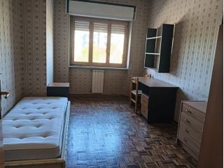 Fittasi appartamento a Studenti