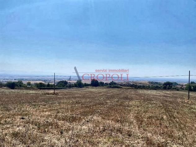 Terreno Agricolo - Rif. 2415 - Foto 11