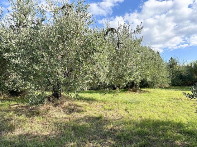 Terreno agricolo in vendita a Martignana - Empoli 5300 mq Rif: 1351258
