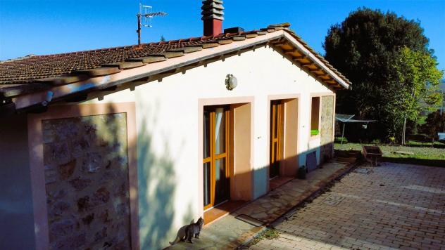 Tenuta complesso in Vendita in zona RIBOLLA - Foto 9
