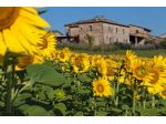 Colonica in vendita a Monteroni d'Arbia 480 mq  Rif: 1305426