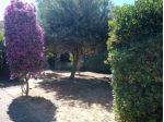 Villa in vendita a Olmedo