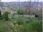 Terreno in vendita a Borghi - Rif. 4551427