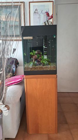 ACQUARIO - Foto 4