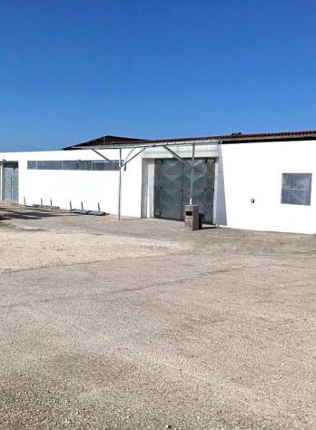 Compendio Immobiliare ad Alto Reddito con Capannone e Terreno - Foto 3