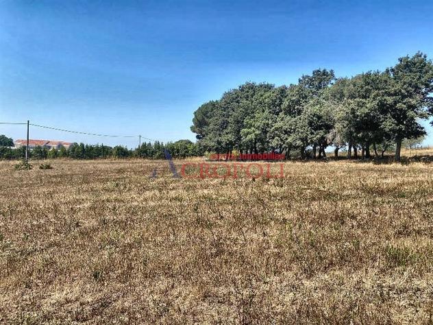 Terreno Agricolo - Rif. 2415 - Foto 17