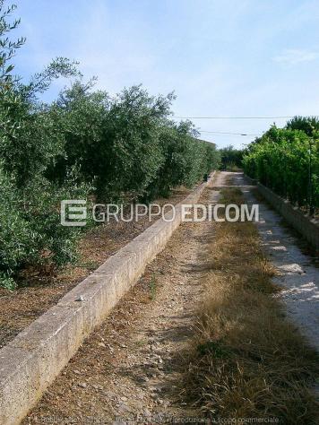 Terreno di 2234 mq in vendita a Belmonte Mezzagno - Rif. 4557340 - Foto 2