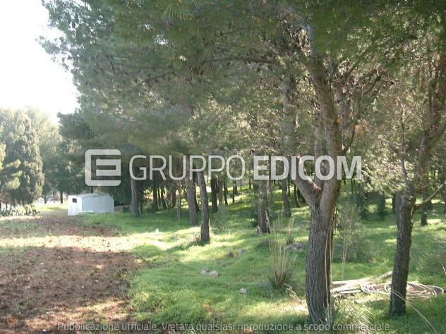 Terreno di 76 mq in vendita a Belmonte Mezzagno - Rif. 4557339 - Foto 6
