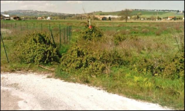 Immobile in asta di 10522 m² in vendita a Potenza Picena - Foto 5