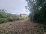 Agricolo in Strada Poggio del Principe
