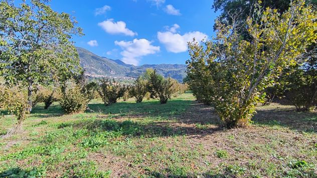 M.Rovella Indipendente con terreno - Foto 2