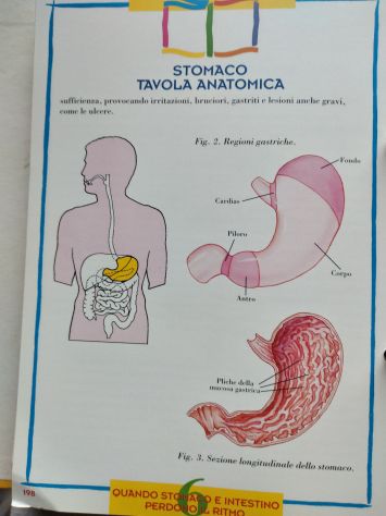 GUIDE PRATICHE PER AUTOMEDICAZIONE - OMAGGIO BAYER ANNI 90 - Foto 2