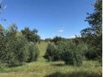 TERRENO AGRICOLO di 17000 mq (SORANO) rif. TERR.COL.