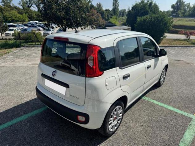 FIAT Panda III 1.0 FireFly 70Cv S&S Hybrid Easy rif. 23909664 - Foto 6
