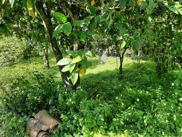 Villa indipendente ampia metratura, bel terreno in zona riservata e tranquilla - Foto 8