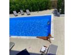 Villa Bianca Luxury Apartments