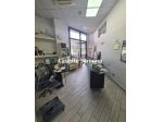Attività Commerciale - Rif. 177