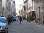 1 Vetrina in affitto a Senigallia