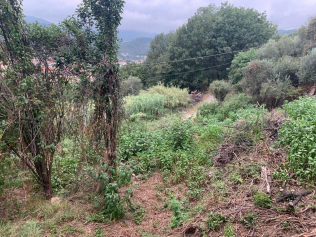 Terreno edificabile in vendita a Quiliano - Foto 16