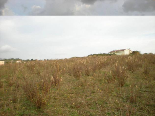 Immobile in asta di 37260 m² in vendita a Ariccia - Foto 6