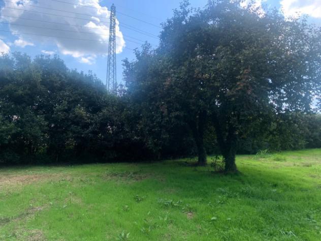 Terreno di 3700 m² in vendita a Segrate - Foto 6