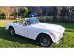 TRIUMPH TR4 Spyder rif. 23222949