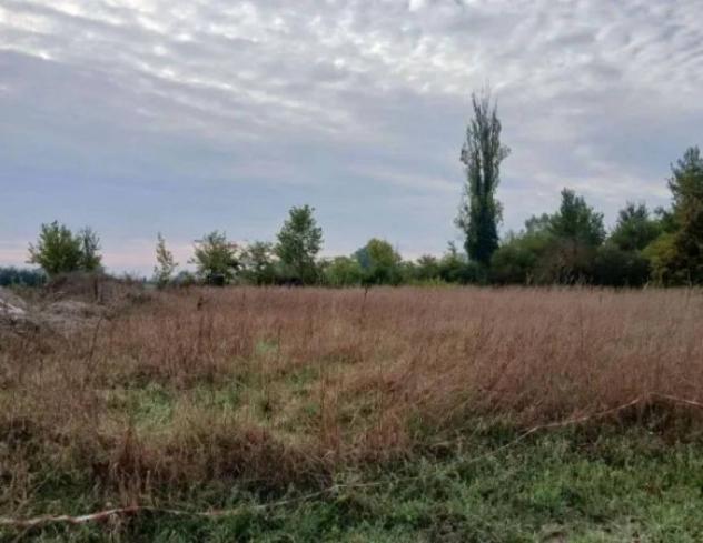 Immobile in asta di 430 m² in vendita a Carpi - Foto 6