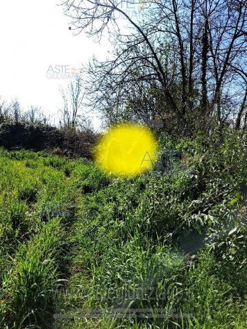 IMMOBILI-ALTRA CATEGORIA-Via Francesco Sensale, 80022 Arzano NA, Italia - Foto 8