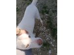 Casper