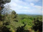 Azienda agricola in vendita a San Vivaldo - Montaione 450000 mq  Rif: 1200013