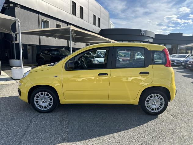 FIAT Pandina 1.0 FireFly 70cv S&S Hybrid Icon - Foto 4