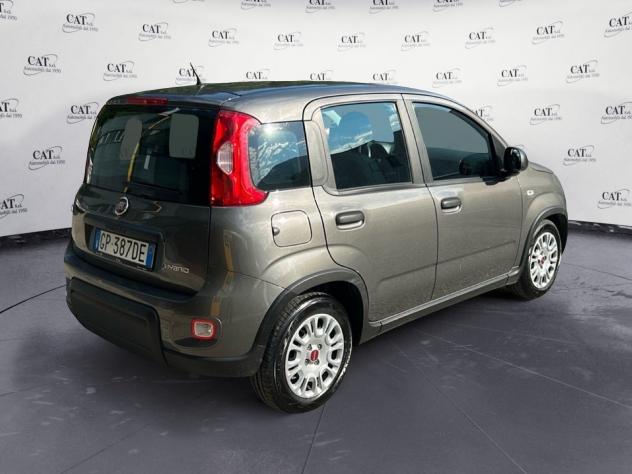 FIAT Panda Panda 1.0 firefly hybrid (prezzo reale) - Foto 6