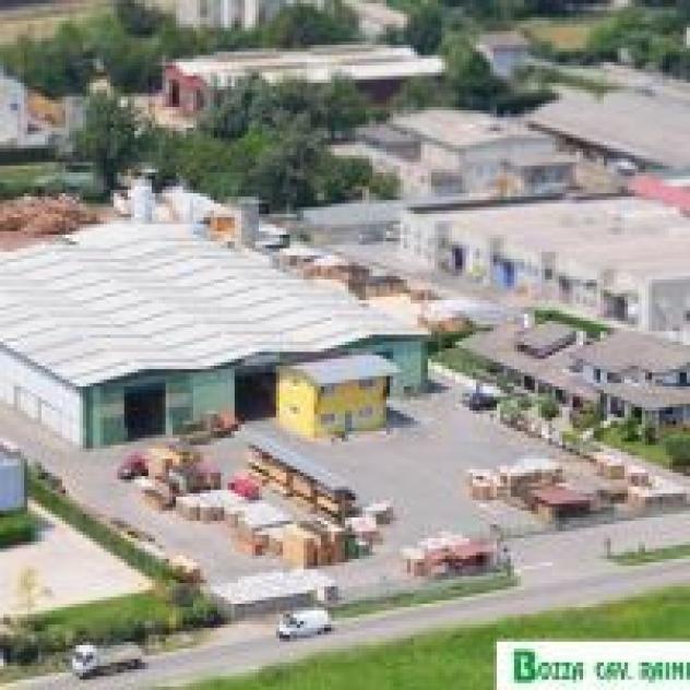 Bozza Cav. Rainieri E C. - Foto 2