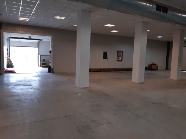 Vendo Capannone + Appartamentamento dilaz. pag 10 anni ROMANIA Provincia di Arad - Foto 5