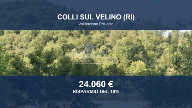 Immobile in asta di 19810 m² in vendita a Colli sul Velino
