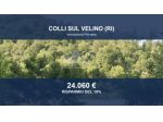 Immobile in asta di 19810 m² in vendita a Colli sul Velino