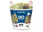 Christmas Kit - 90g