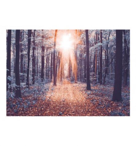 Fotomurale Adesivo Immerso Nel Bosco Arredalacasa - Foto 2